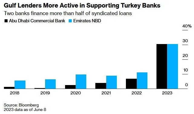 西方银行撤退之际 阿联酋银行增加对土耳其银行贷款 土耳其总统 银行 行业新闻 第2张
