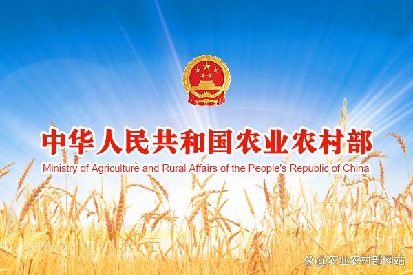 中国人民银行、金融监管总局、中国证监会、财政部、农业农村部印发《关于金融支持全面推进乡村振兴加快建设农业强国的指导意见》 农村金融 中国人民银行 金融 行业新闻 第1张