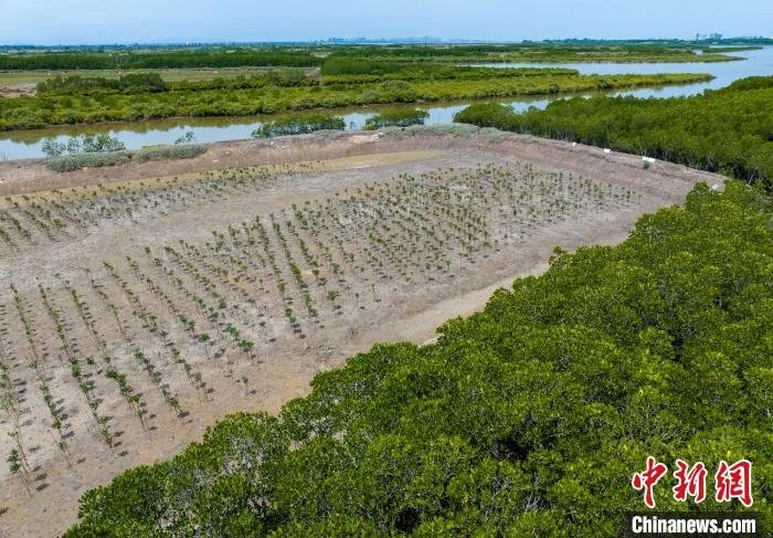 海南儋州布局“湾区经济”建设自贸港产业新城 经济建设 经济 儋州 行业新闻 第3张