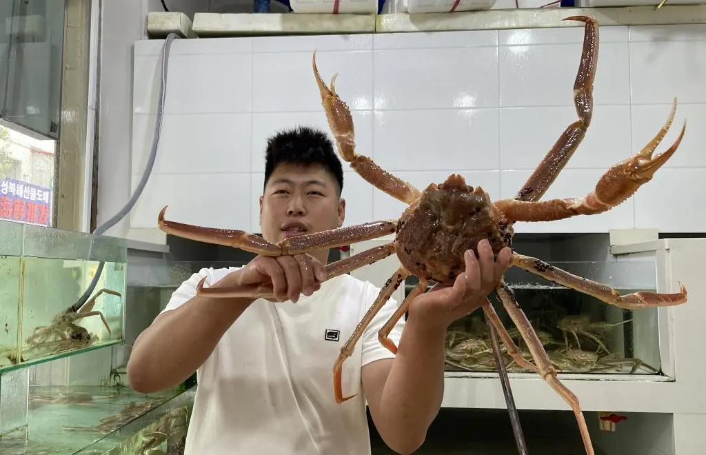 口岸城市听信心丨加大对外开放 这座边城做活“海洋经济” 海洋经济 海鲜 行业新闻 第3张