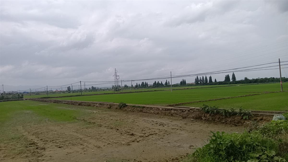 乡村企业年营收过亿，湖北银行助力乡村振兴 三农 银行 湖北银行 行业新闻 第1张