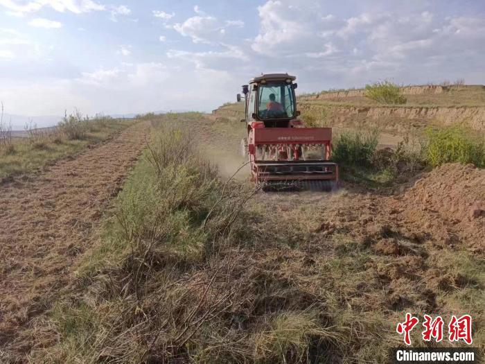山西大同：中药材成农民致富的“绿色银行” 三农 绿色银行 中药材 行业新闻 第1张