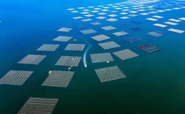 海洋经济，拉动大连经济增长的重要引擎 海洋强国 经济 海洋经济 行业新闻 第2张