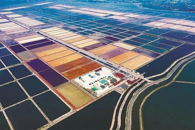 海洋经济，拉动大连经济增长的重要引擎 海洋强国 经济 海洋经济 行业新闻 第8张