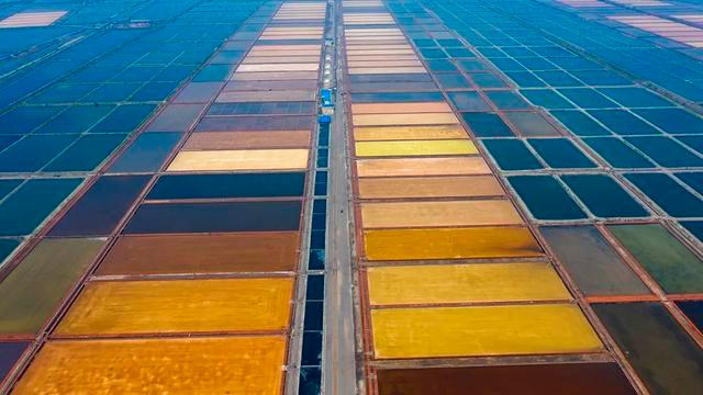 海洋经济，拉动大连经济增长的重要引擎 海洋强国 经济 海洋经济 行业新闻 第9张