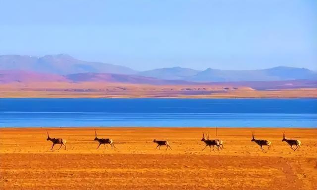 经济日报：同步推进高质量发展和高水平保护 环境保护 经济 碳排放 行业新闻 第1张