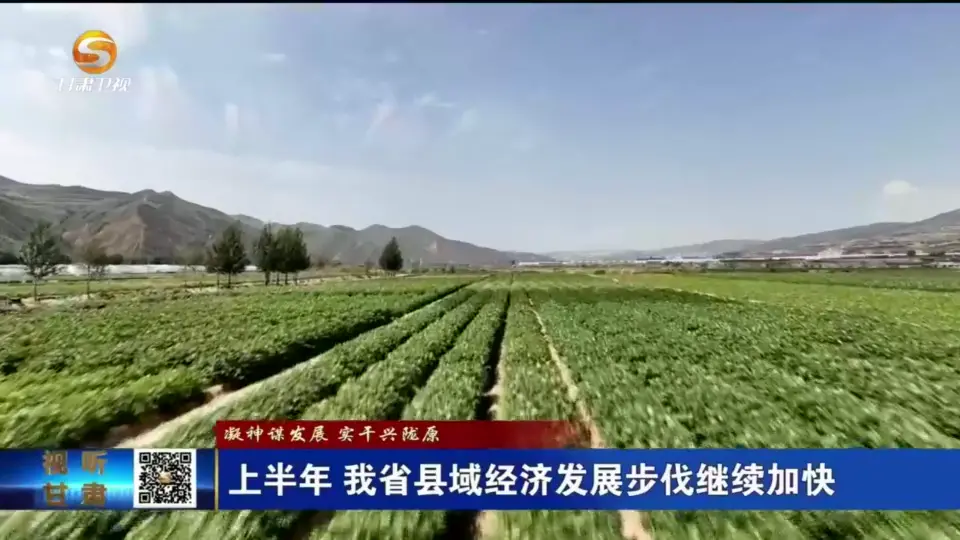 苦练"内功"借助"外力" 上半年甘肃县域经济迈上快车道 时政 三农 经济 行业新闻 第4张
