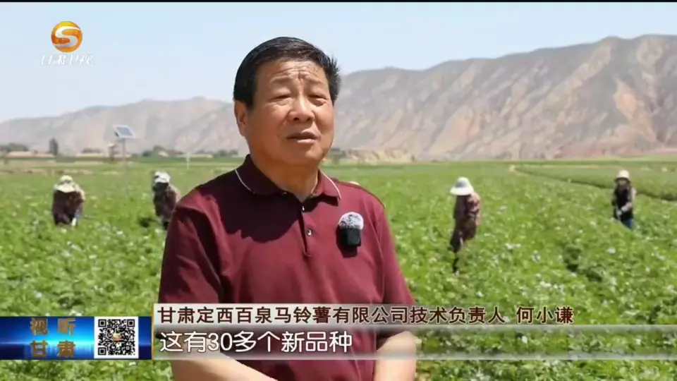 苦练"内功"借助"外力" 上半年甘肃县域经济迈上快车道 时政 三农 经济 行业新闻 第5张