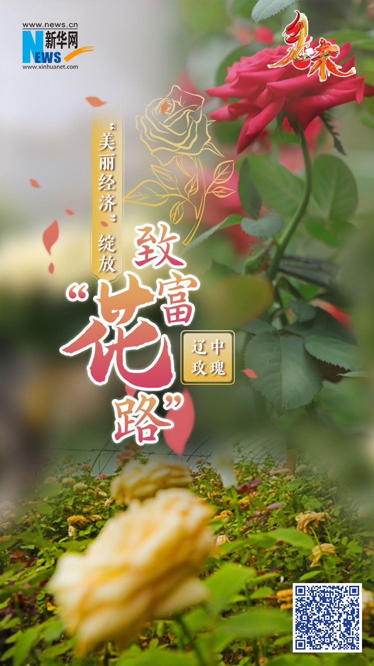 乡味丨辽中玫瑰：“美丽经济”绽放致富“花路” 李红林 六间房 辽中 行业新闻 第1张