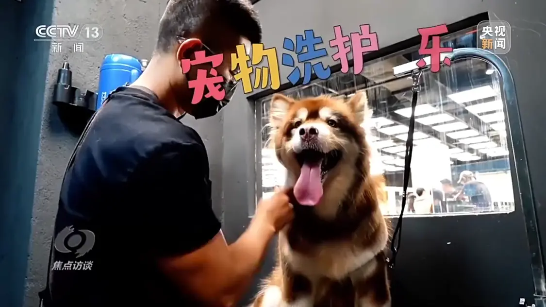 焦点访谈丨“商场”消费花样多，点燃暑期“热经济” 经济学 行业新闻 第8张