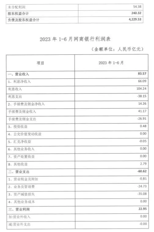 网商银行上半年营收净利双增，小微贷款规模维持25%以上增长 资本充足率 银行 网商银行 行业新闻 第2张