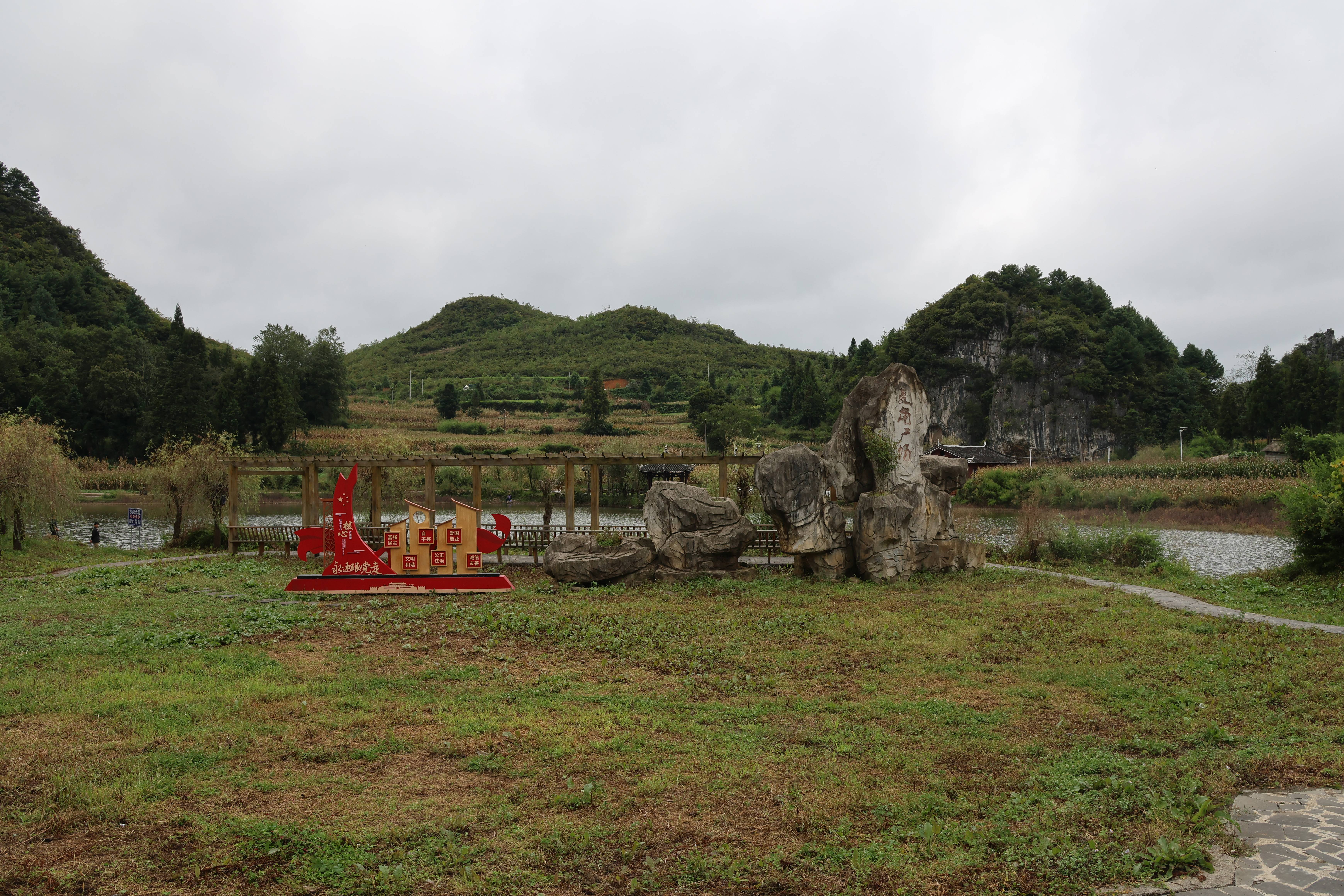 大方县兴隆乡：高山海花与大棚鲜花，共绘特色经济新画卷 种植业 三农 农业 行业新闻 第1张