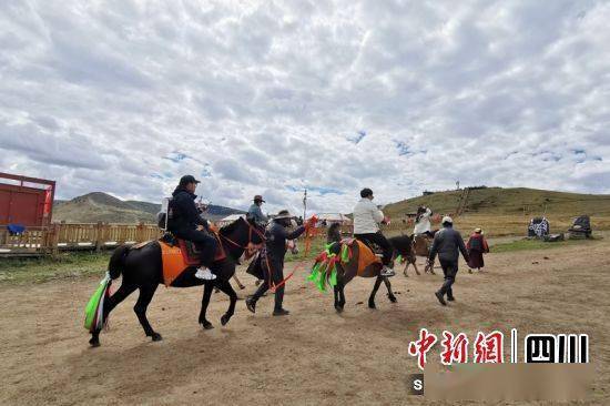 康定：马背经济助力乡村振兴 三农 行业新闻 第1张