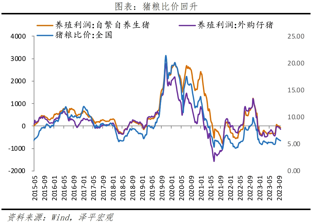 物价底部显现，社融延续回升，全力拼经济 经济 持续改善 物价水平 行业新闻 第7张