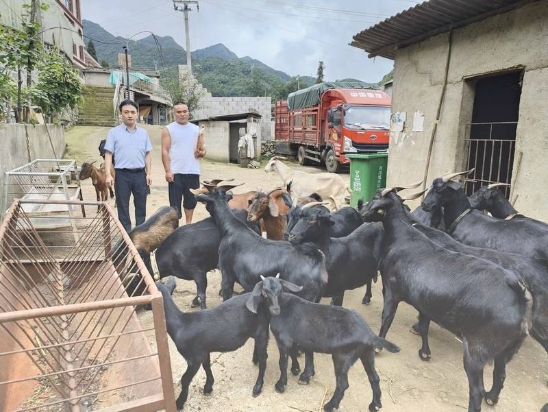 邮储银行盘州市支行：产业链贷款助力地方乡村振兴 邮储银行 盘州市 银行 行业新闻 第2张