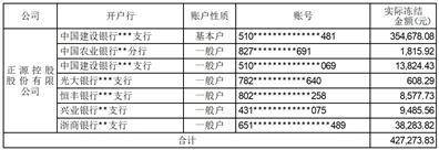 正源控股股份有限公司关于公司 及子公司部分银行账户被冻结的公告 子公司 股票 银行 行业新闻 第3张