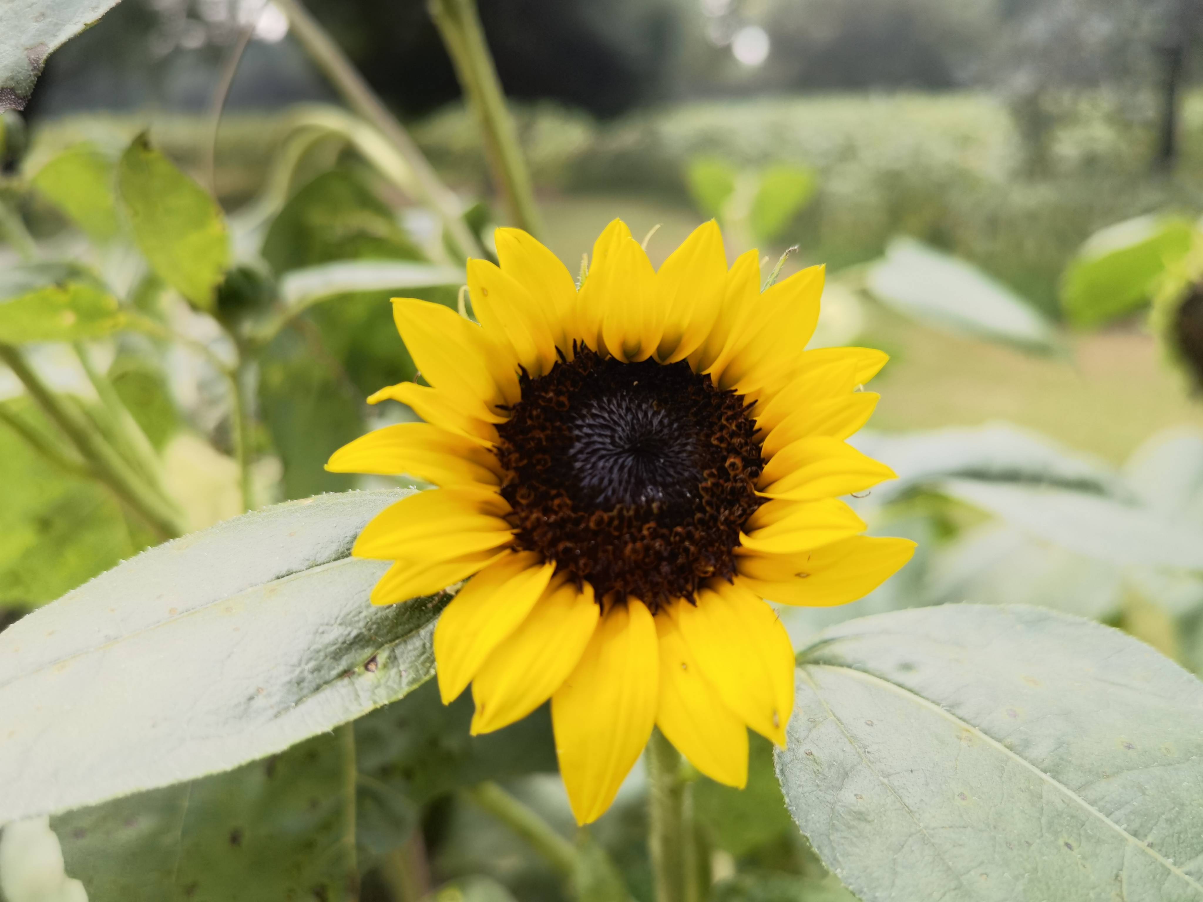 原创 你相信银行校招有"潜规则"吗？想进银行必须知道的十大潜规则 银行 行业新闻 第1张