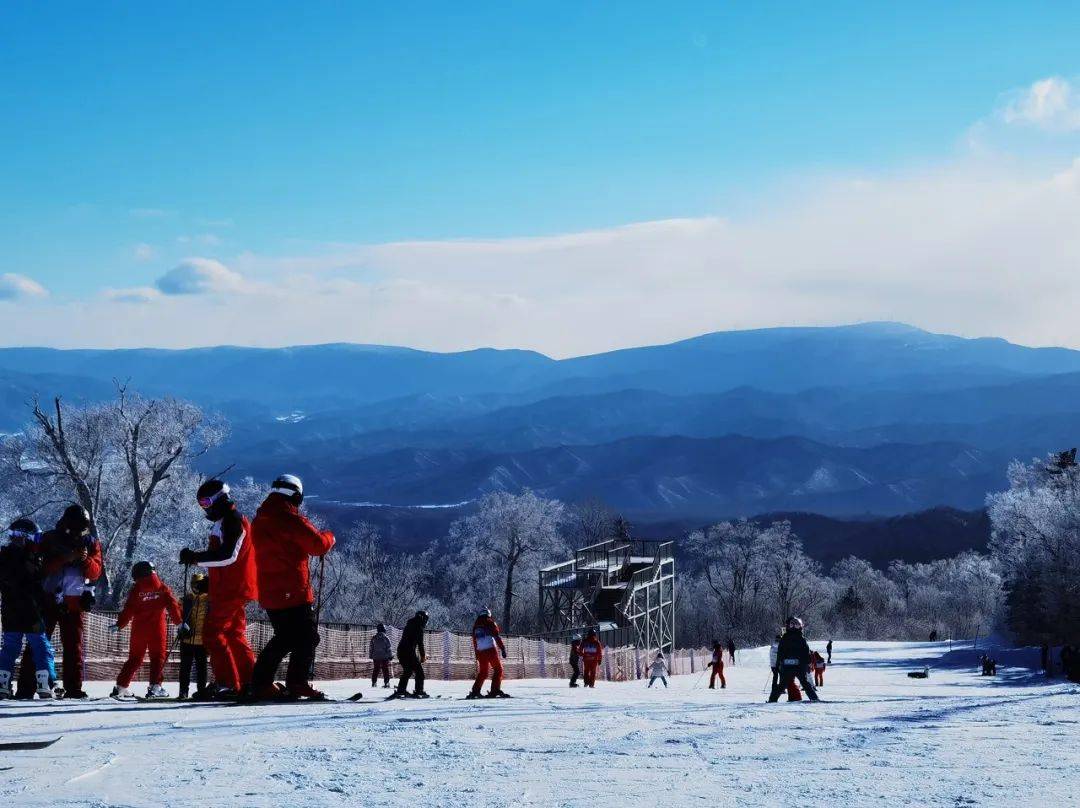 冰雪经济第一省的争夺战 滑雪装备 滑雪 冰雪运动 行业新闻 第1张