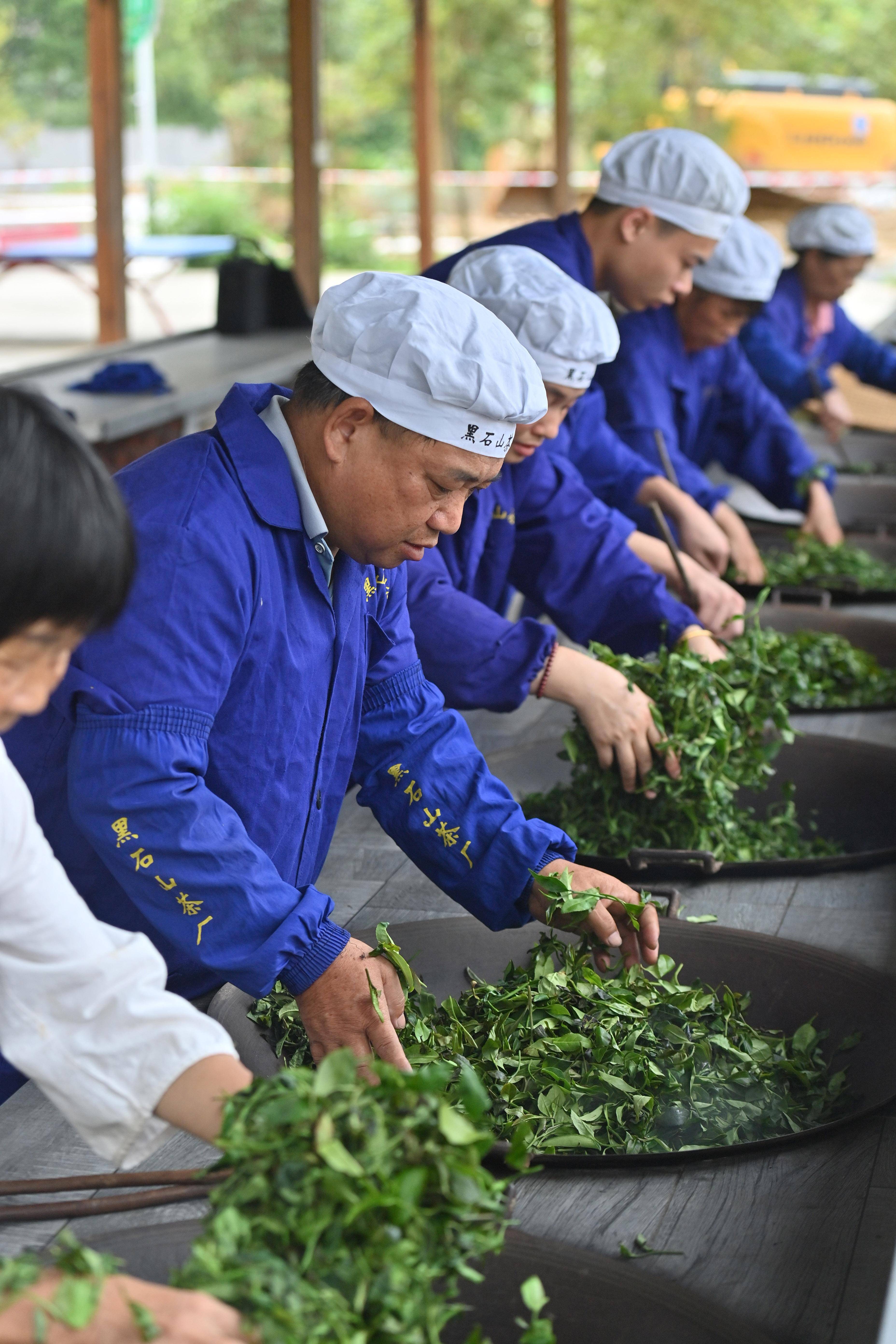 （经济）千年古茶万里香 梧州 六堡茶 行业新闻 第5张