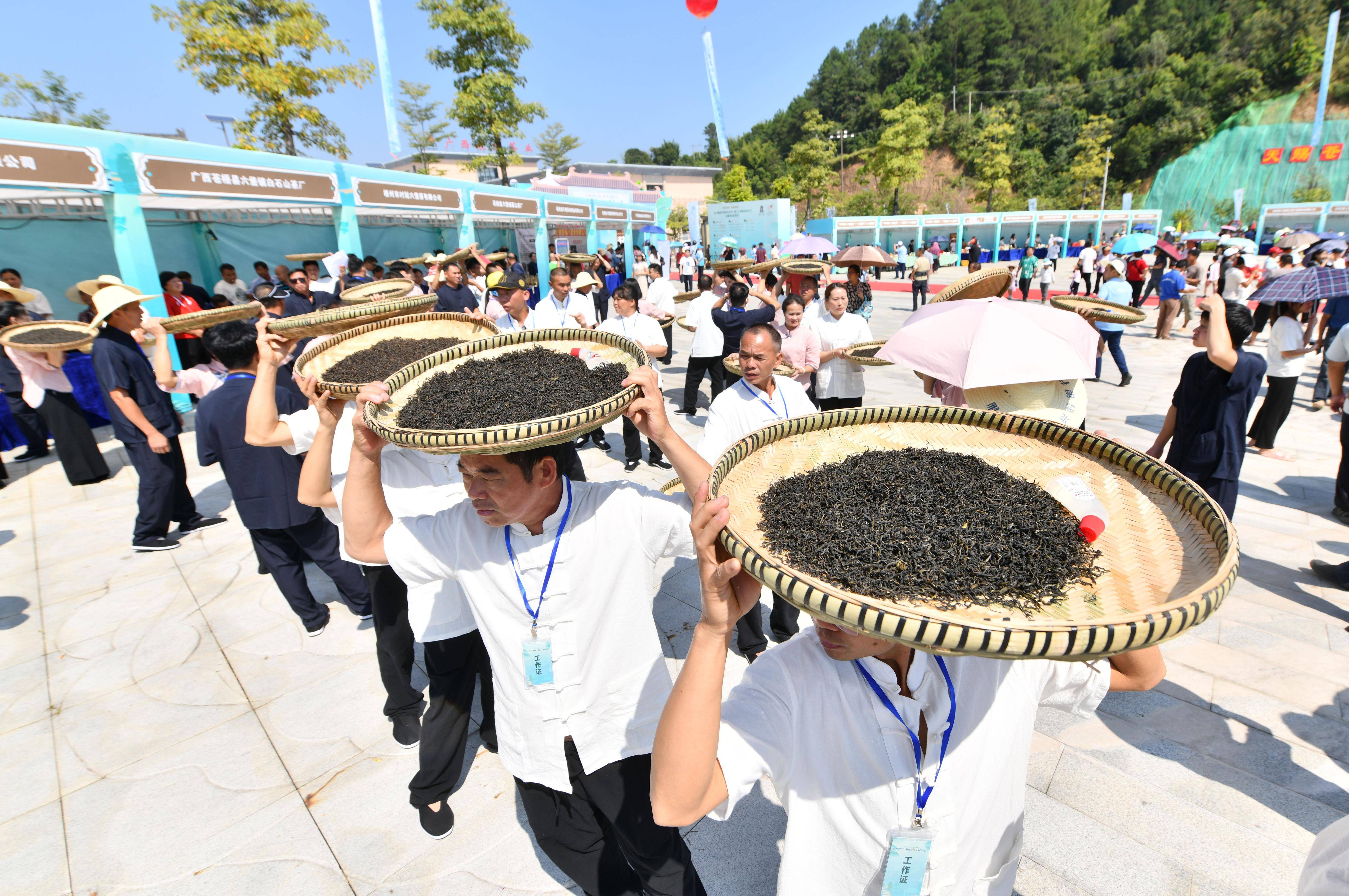 （经济）千年古茶万里香 梧州 六堡茶 行业新闻 第12张