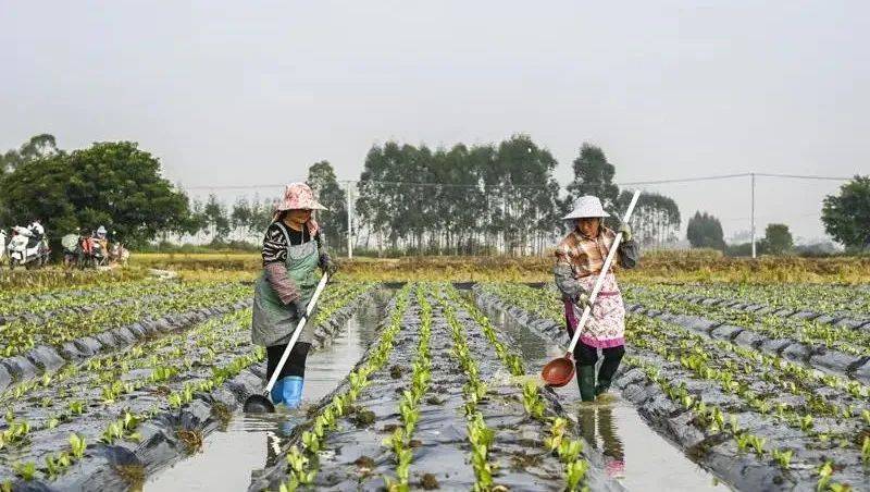 智库丨推动土地财政向公共资源财政的转型发展 国内宏观 公共资源 土地财政 行业新闻 第1张