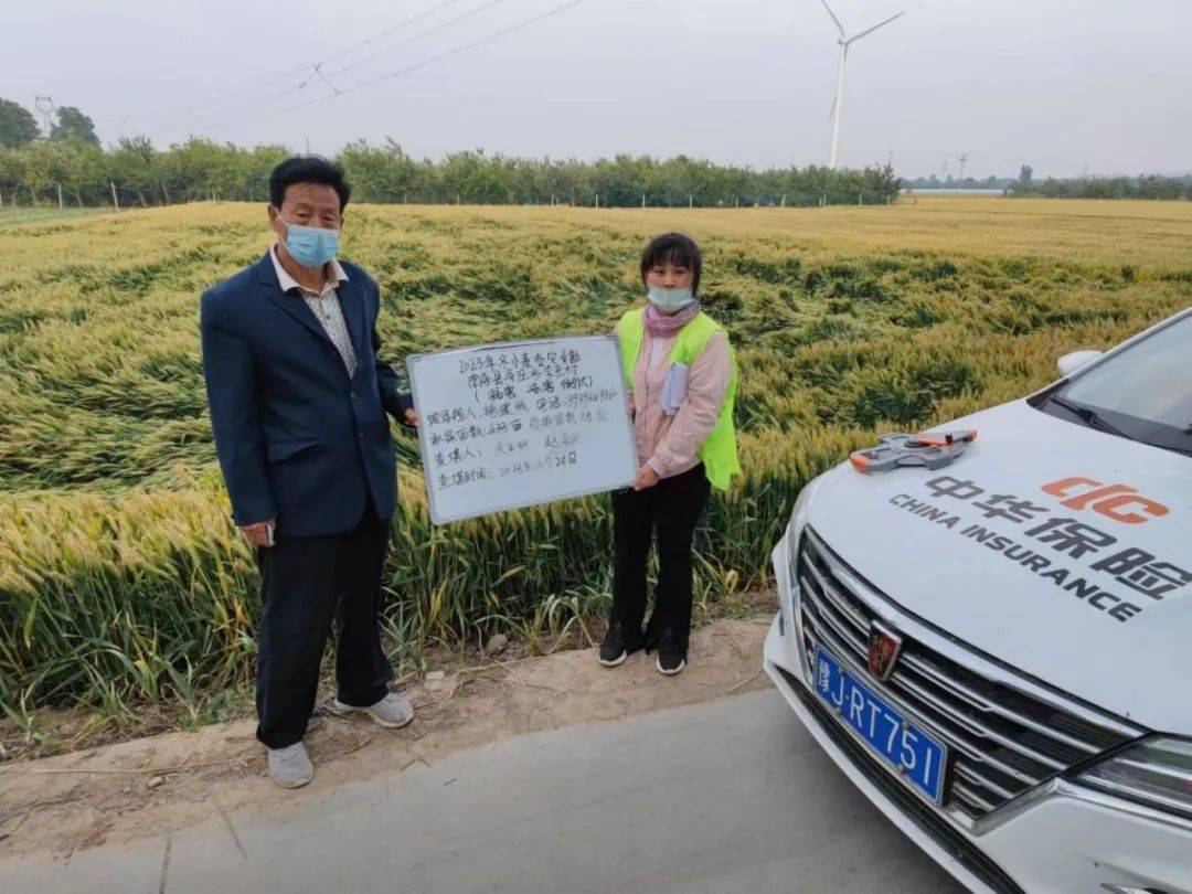 坚定不移为服务经济社会发展贡献中华保险力量 碳汇 三农 中华保险 行业新闻 第2张