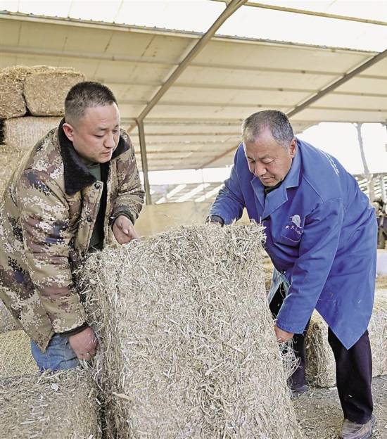 任河村：抱团壮大“牛银行” 畜牧业 三农 银行 行业新闻 第3张