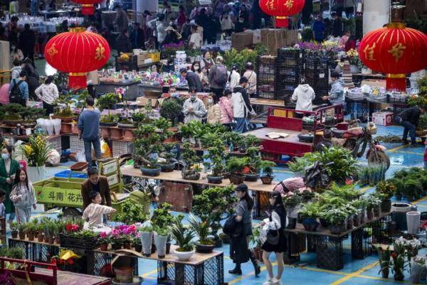 买花、送花、赏花……鲜花带动假日经济！ 昆明鲜花 赏花 行业新闻 第1张