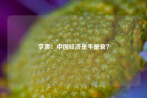 李肃：中国经济是牛是衰？ 中远 混合所有制 经济 行业新闻 第1张