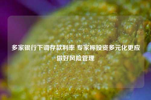 多家银行下调存款利率 专家称投资多元化更应做好风险管理 存款利率 投资 银行 行业新闻 第1张