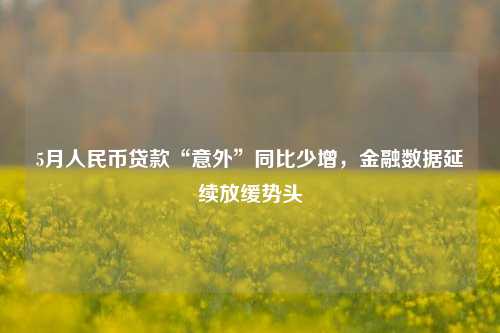 5月人民币贷款“意外”同比少增，金融数据延续放缓势头 人民币 新增贷款 金融 行业新闻 第1张