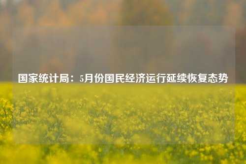 国家统计局：5月份国民经济运行延续恢复态势 经济 国内宏观 国民经济 行业新闻 第1张