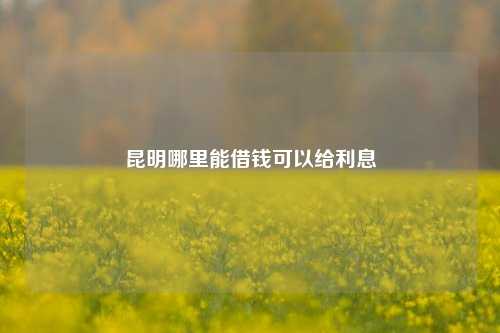 昆明哪里能借钱可以给利息 金融 利息 民间借贷 第1张