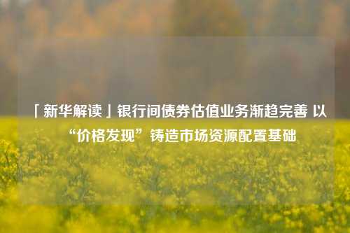 「新华解读」银行间债券估值业务渐趋完善 以“价格发现”铸造市场资源配置基础 中国的银行间债券市场 债券市场 债券 行业新闻 第1张