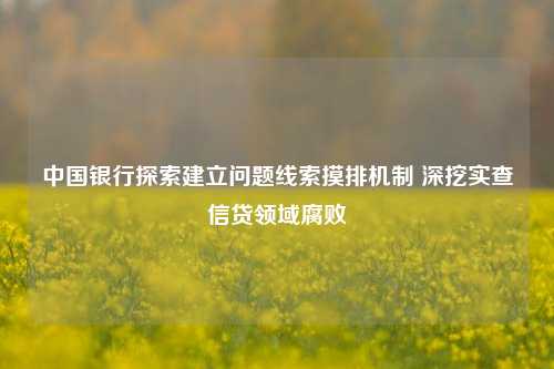 中国银行探索建立问题线索摸排机制 深挖实查信贷领域腐败 银行信贷 信贷业务 中行 行业新闻 第1张