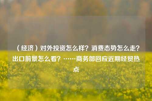 （经济）对外投资怎么样？消费态势怎么走？出口前景怎么看？……商务部回应近期经贸热点 经济 企业对外投资 商务部 行业新闻 第1张