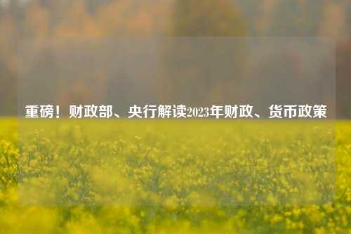 重磅！财政部、央行解读2023年财政、货币政策 国内宏观 经济风险 货币政策 行业新闻 第1张