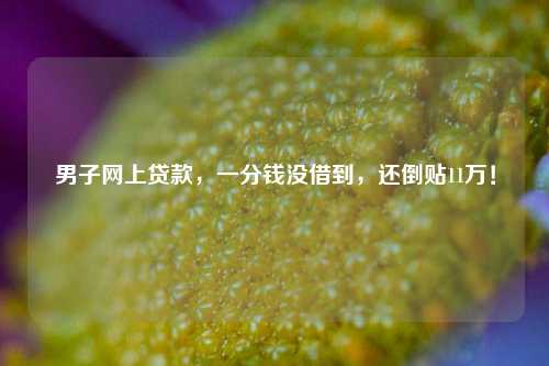 男子网上贷款，一分钱没借到，还倒贴11万！ 违法犯罪 社会万象 网上贷款 行业新闻 第1张