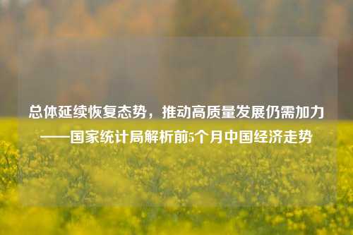 总体延续恢复态势，推动高质量发展仍需加力——国家统计局解析前5个月中国经济走势 经济 国家统计局 cpi 行业新闻 第1张