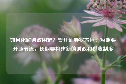 如何化解财政困难？粤开证券罗志恒：短期要开源节流，长期要构建新的财政和税收制度 政府债务 政府支出 国内宏观 行业新闻 第1张