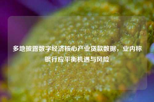 多地披露数字经济核心产业贷款数据，业内称银行应平衡机遇与风险 银行风险 数字经济 银行 行业新闻 第1张