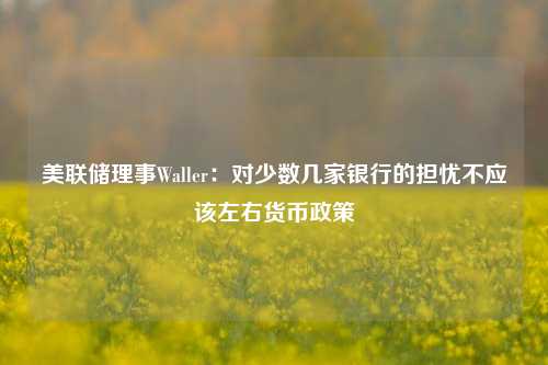 美联储理事Waller：对少数几家银行的担忧不应该左右货币政策 美联储 货币政策 银行 行业新闻 第1张