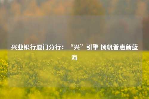 兴业银行厦门分行：“兴”引擎 扬帆普惠新蓝海 金融 普惠 行业新闻 第1张