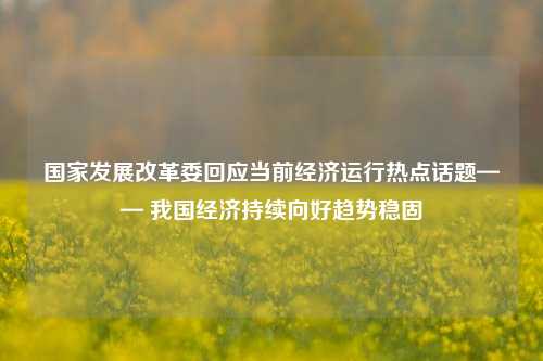 国家发展改革委回应当前经济运行热点话题—— 我国经济持续向好趋势稳固 宏观经济 国内宏观 经济 行业新闻 第1张