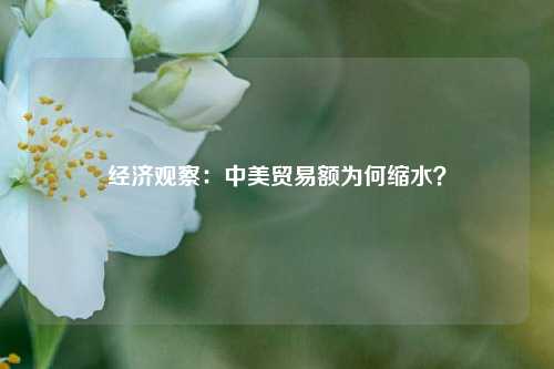 经济观察：中美贸易额为何缩水？ 中美 行业新闻 第1张