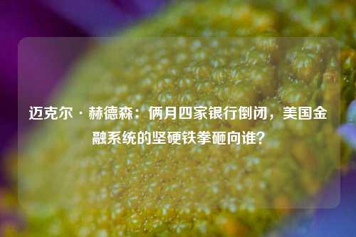 迈克尔·赫德森：俩月四家银行倒闭，美国金融系统的坚硬铁拳砸向谁？ 银行监管 美国金融 银行 行业新闻 第1张