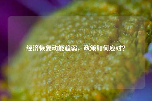 经济恢复动能趋弱，政策如何应对？ 经济学 经济 经济指数 行业新闻 第1张