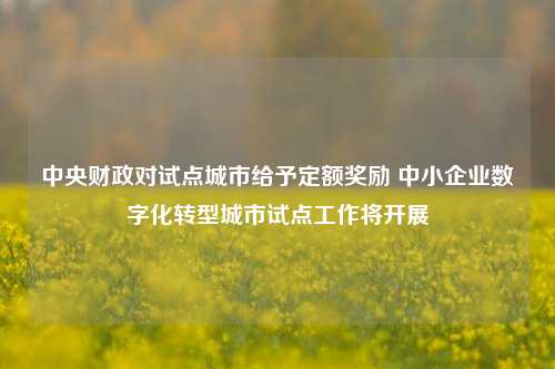 中央财政对试点城市给予定额奖励 中小企业数字化转型城市试点工作将开展 中央财政 行业新闻 第1张