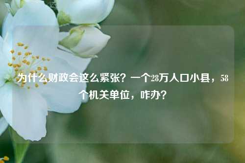 为什么财政会这么紧张？一个28万人口小县，58个机关单位，咋办？ 公务员考核 人员编制 公务员 行业新闻 第1张