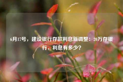 6月17号，建设银行存款利息新调整：20万存银行，利息有多少？ 定期存款 中国建设银行 银行 行业新闻 第1张